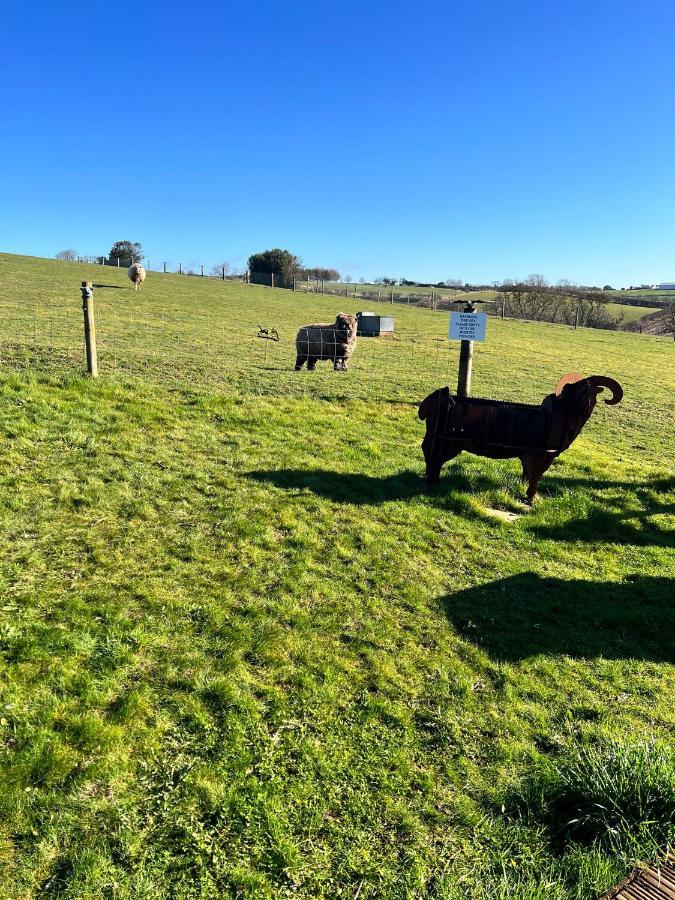 King Richard'S Luxury Lodge - Sleeps Up To 8 ,Dog Friendly ,Near Sherwood Forest At Fairview Farm In Nottingham Set In 88 Acres And Great For Groups,Family Gatherings,Corporate Events Exteriör bild